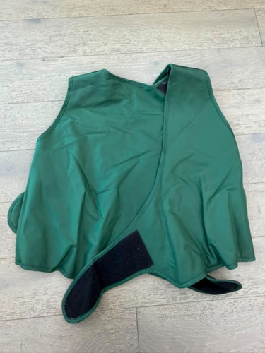 Ray lead apron - x-ray, around